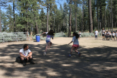 IMG_0445