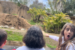 2023 LA Zoo Trip